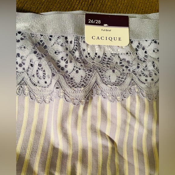 Panties Bundle (Lane Bryant) - Picture 5 of 7